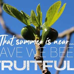 The Summer is Near, Have We Been Fruitful?