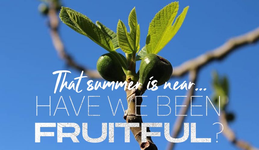 The Summer is Near, Have We Been Fruitful?