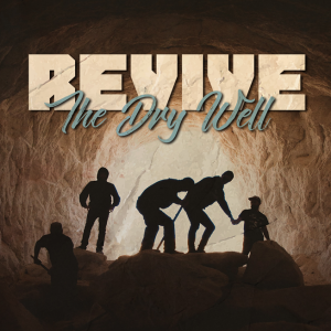 Revive the Dry Well