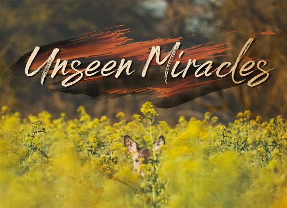 UNSEEN MIRACLES