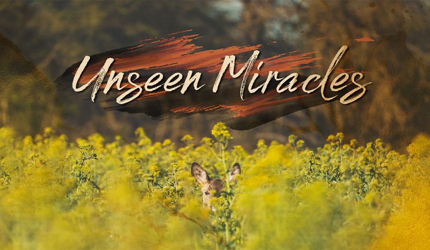 UNSEEN MIRACLES