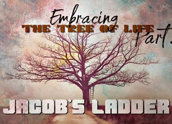 Embracing the Tree of Life (part 2): Jacob’s Ladder