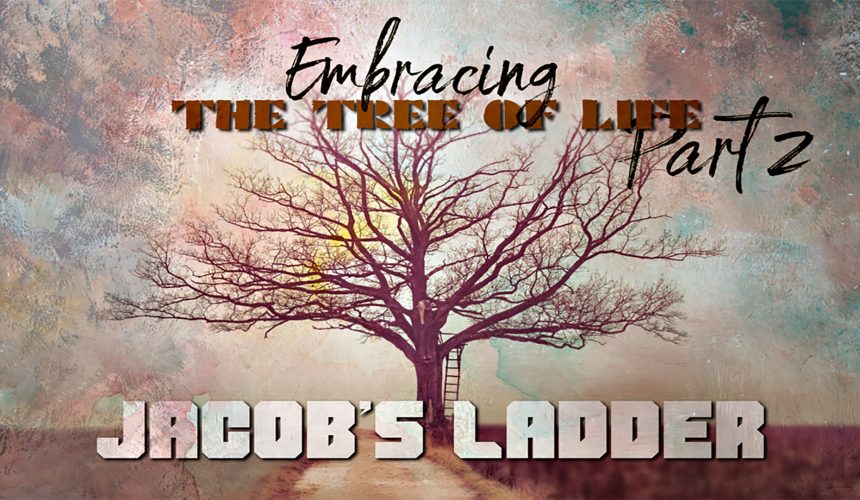 Embracing the Tree of Life (part 2): Jacob’s Ladder