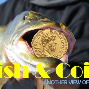 Fish and Coin