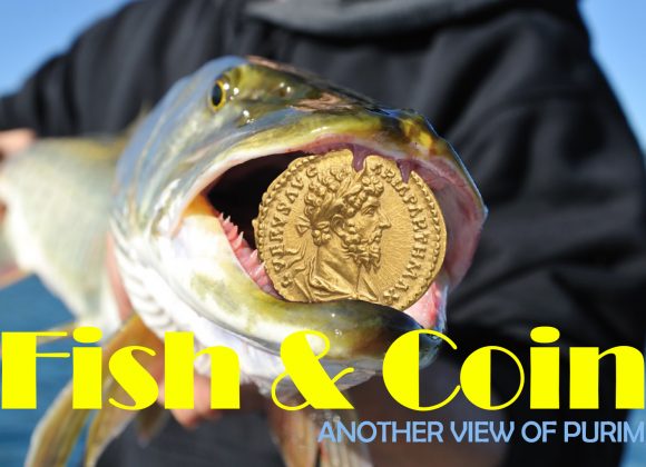 Fish and Coin